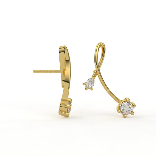 Earrings ER0004