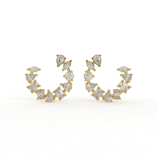 Earrings ER0006