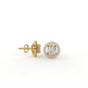 Chaandni Earrings